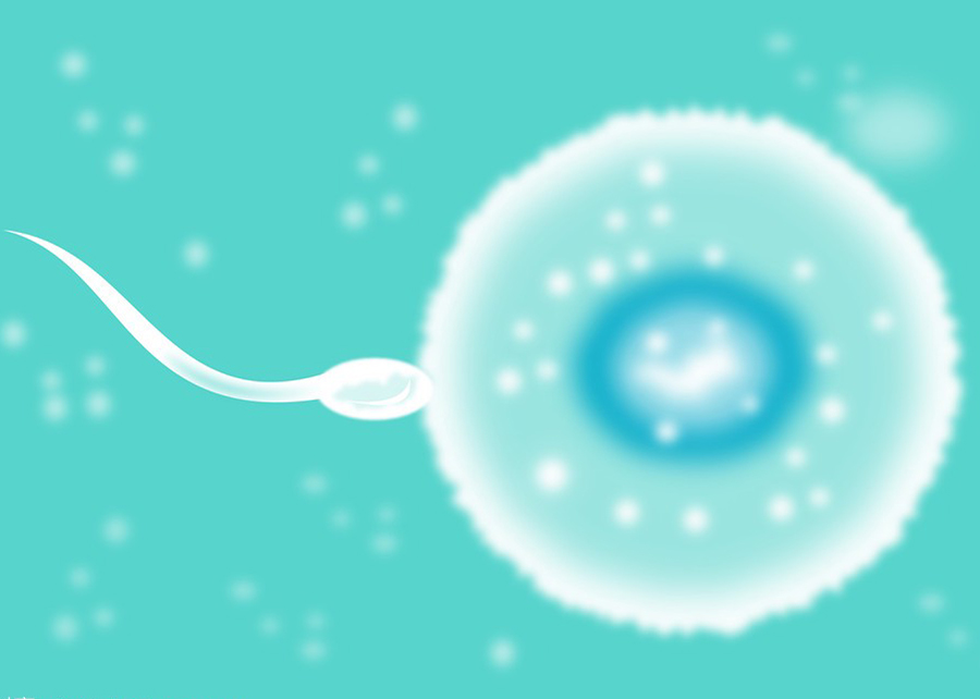 在海南做孕期亲子鉴定去哪里做,海南做孕期亲子鉴定准确吗