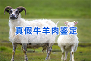 海南羊类动物鉴定